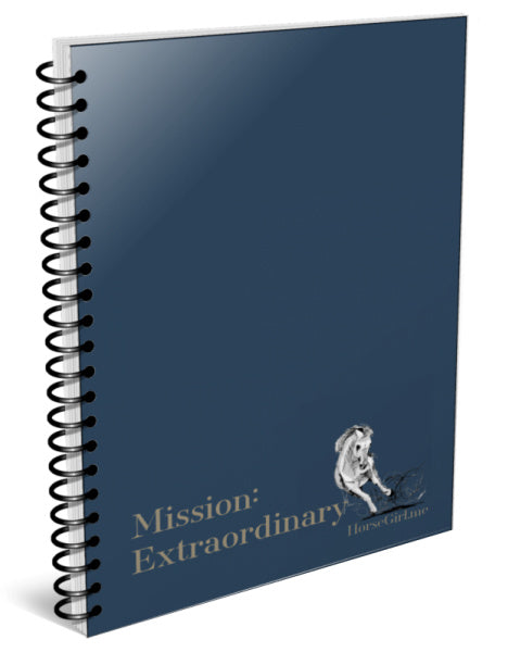 Mission Extraordinary 13 Week Action Playbook